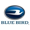 Blue-Bird